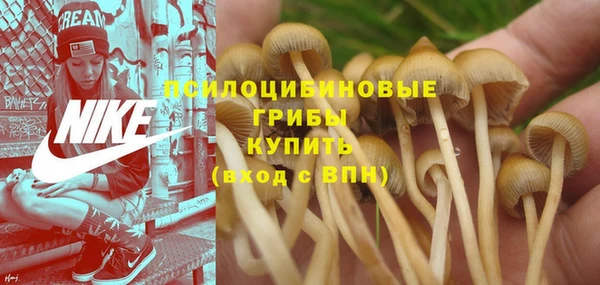 ALPHA-PVP Белокуриха