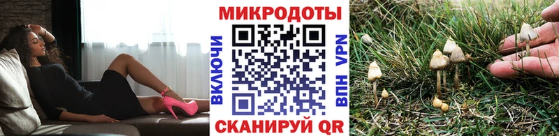 купить наркоту  Югорск  Галлюциногенные грибы GOLDEN TEACHER 